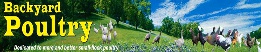 Backyard Poultry Logo Link